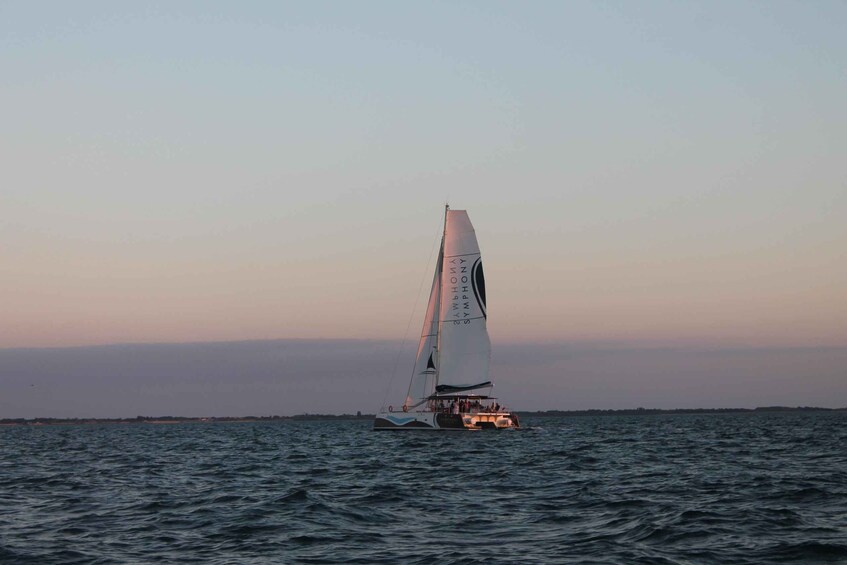 Picture 3 for Activity Saint-Martin-de-Ré : Sunset Catamaran Cruise (2h00)