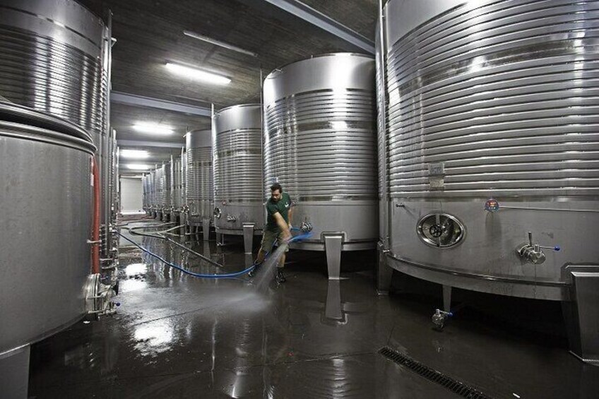 Exclusive Vinho Verde Alvarinho and Minho Region Wine Tour