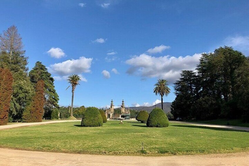Exclusive Vinho Verde Alvarinho and Minho Region Wine Tour