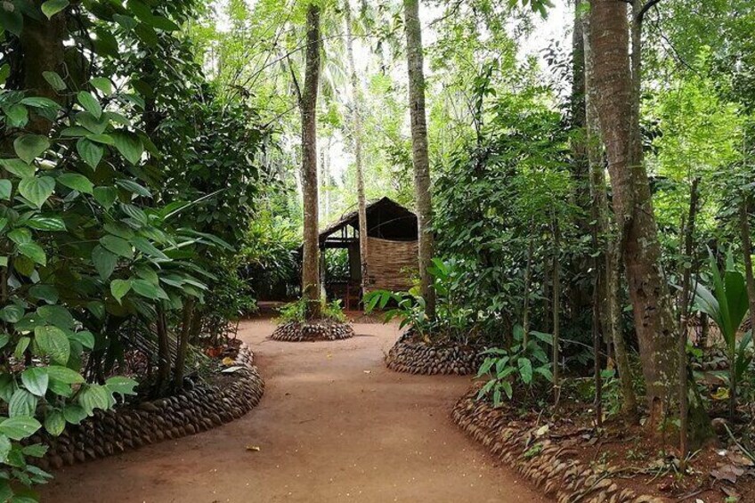 Spice and herbal garden