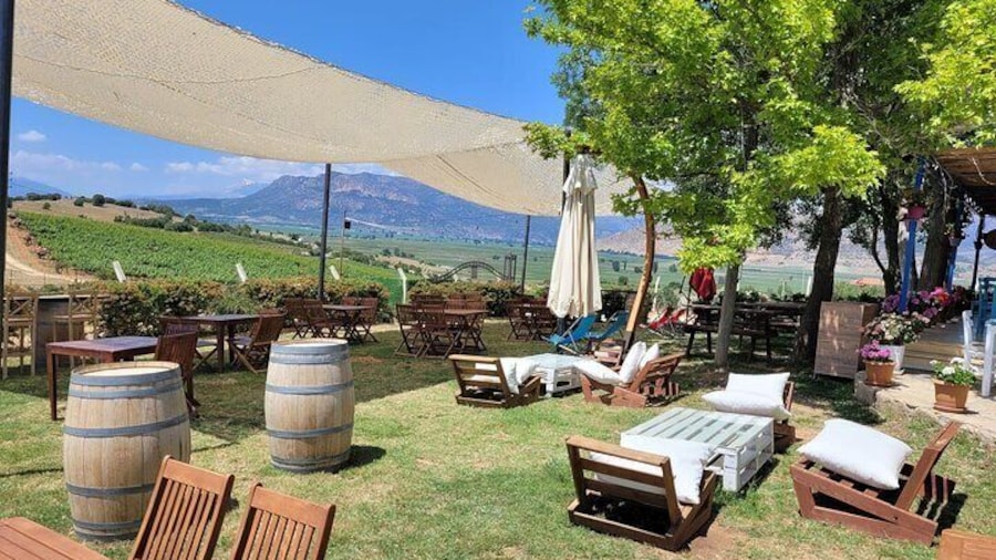 Arykanda and Likya Winery Tour A Blend of History and Wine