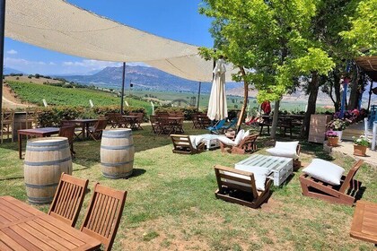 Arykanda and Likya Winery Tour A Blend of History and Wine