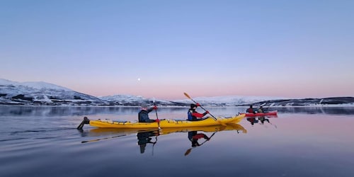 Tromsø: Easy Winter Kayaking Tour with Seal Watching