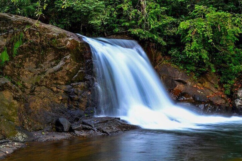 Exclusive Rainforest Tour Capped with a Refreshing Waterfall Dip