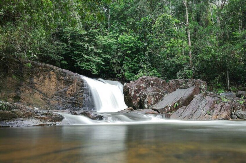 Exclusive Rainforest Tour Capped with a Refreshing Waterfall Dip