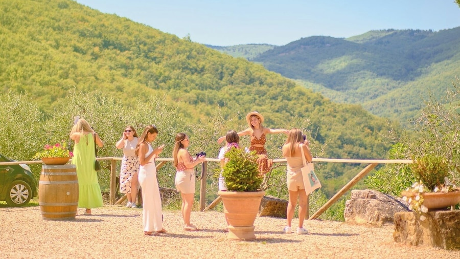 Chianti Wineries Tour with Food and Wine Tasting from Florence