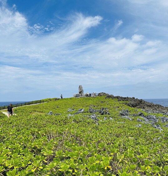 Picture 5 for Activity Okinawa: Full-Day Bus Tour to Yanbaru National Park