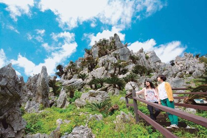 Okinawa: Full-Day Bus Tour to Yanbaru National Park