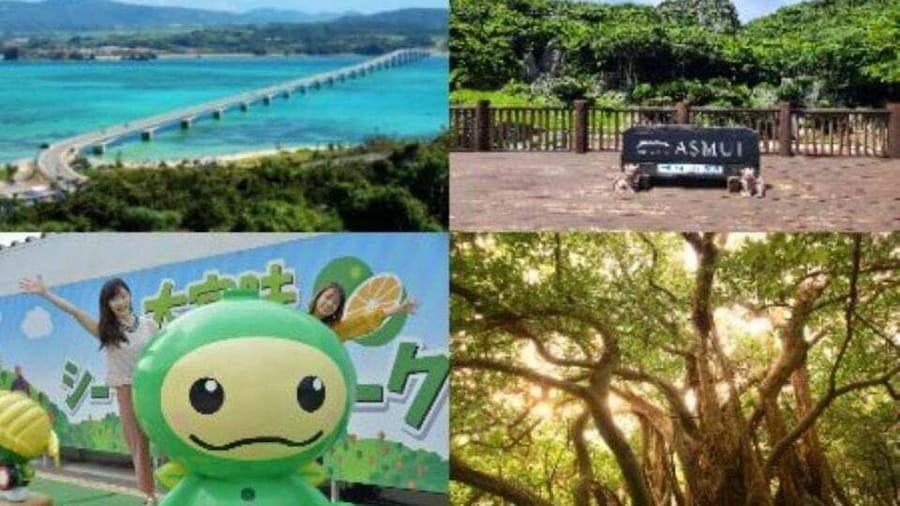 Okinawa 1Day BusTour to Yanbaru National Park & Kouri Island