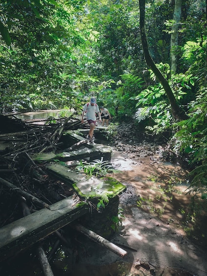 Hidden Waterfall Hiking Adventure