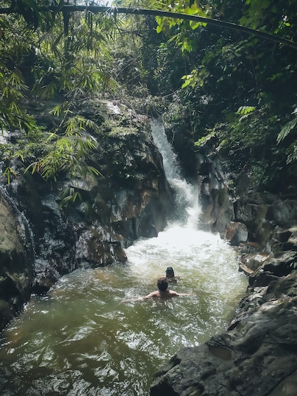 Picture 3 for Activity Hidden Waterfall Hiking Adventure