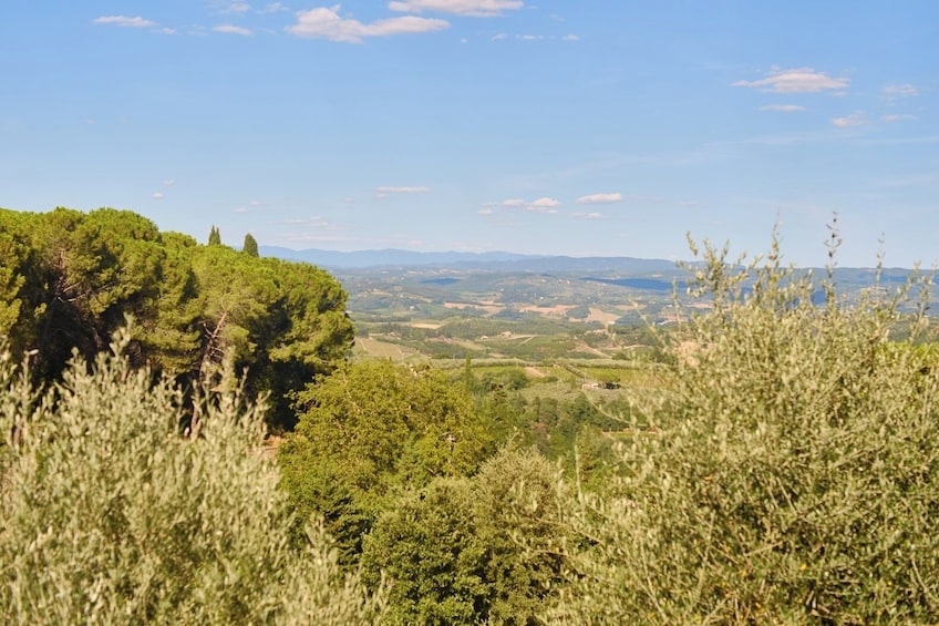 Day Tour From Florence To Siena, San Gimignano, Monteriggioni & Chianti