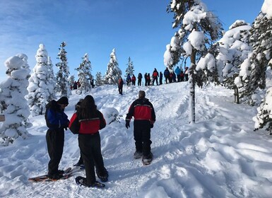 Experiencia de raquetas de nieve