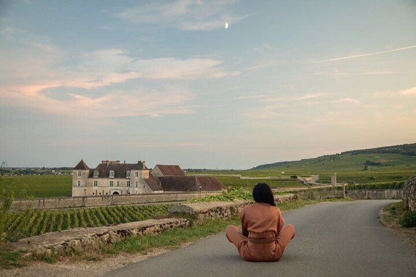 Luxurious Wine Tour in Burgundy