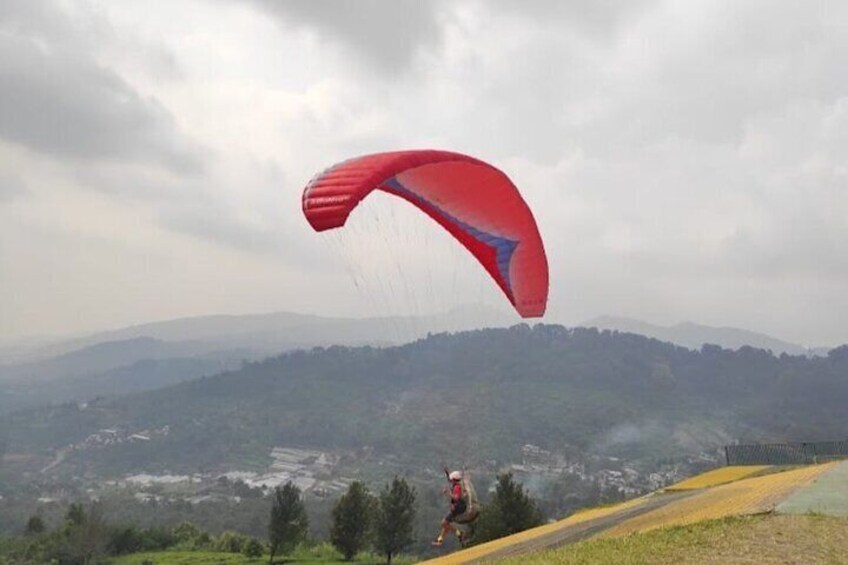 Bogor Puncak "Tea Plant & Paragliding" Interactive Private Driver