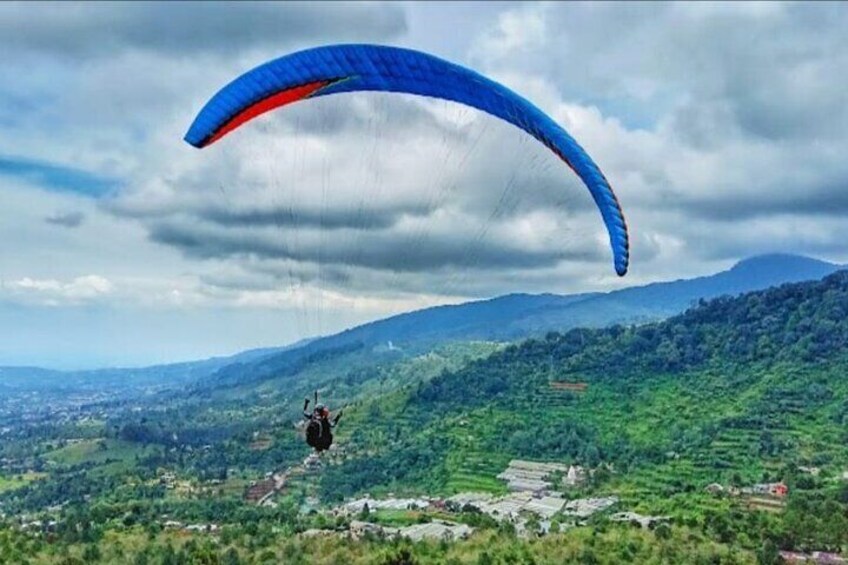 Bogor Puncak "Tea Plant & Paragliding" Interactive Private Driver