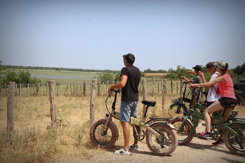 Ebike Tour in Camargue