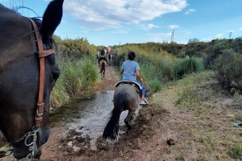 Horseback riding with lunch or dinner in the foothills of Mendoza