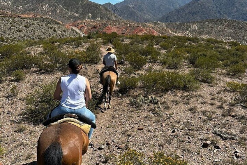 Horseback riding and trekking Crocodile in Potrerillos Mendoza