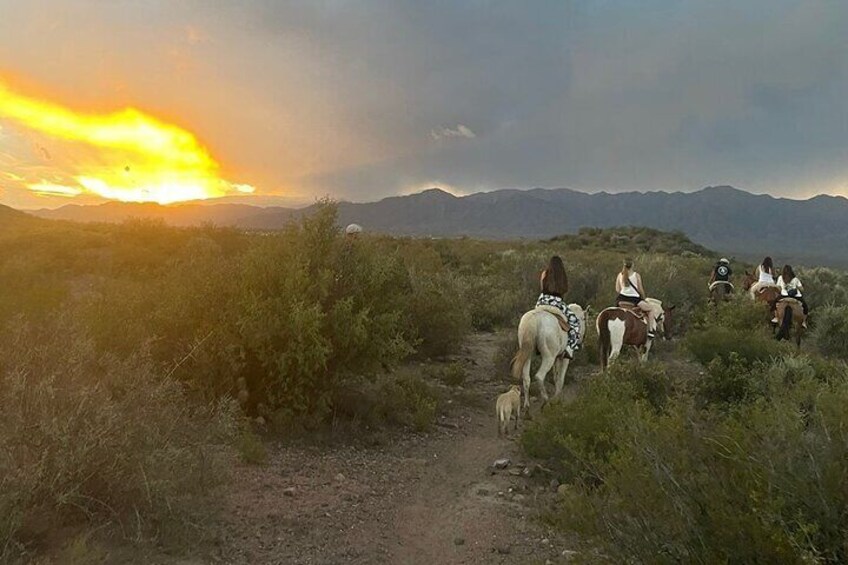Horseback riding with lunch or dinner in the foothills of Mendoza