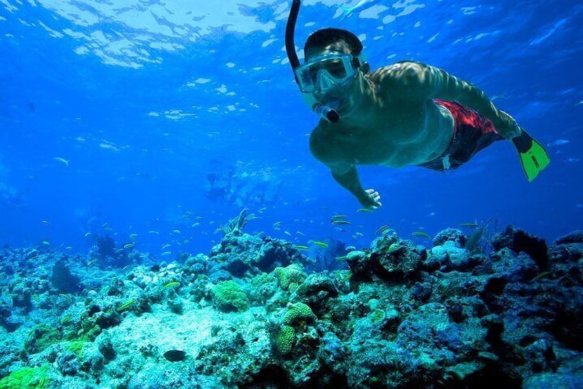 San Juan | Paddleboard | Kayak | Snorkeling | Guided Tours