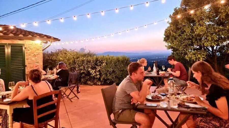 Homemade Dinner and Oil Tasting Tour in a Tuscan Farm