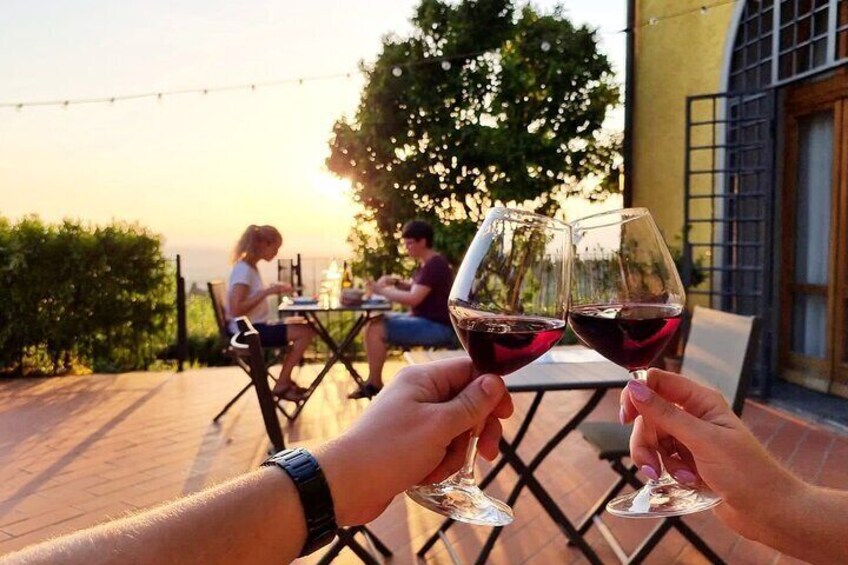 Homemade Dinner and Oil Tasting Tour in a Tuscan Farm