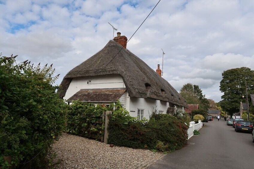 Thatched roof House 