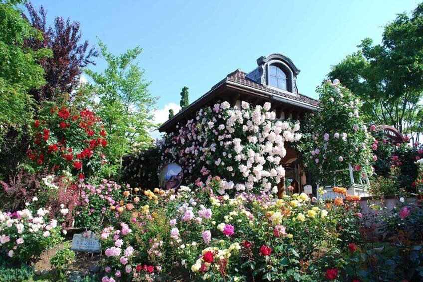 Kawaguchiko Music Forest Museum