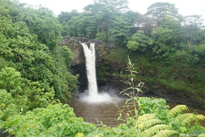 From Big island Kona Volcanoes and Waterfalls Shared Tour