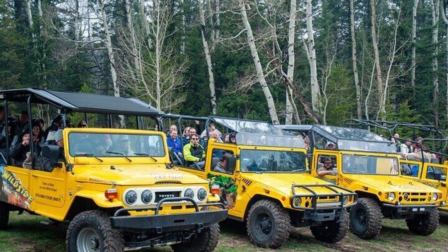 4WD Panoramic Peak Photo Tour in Estes Park
