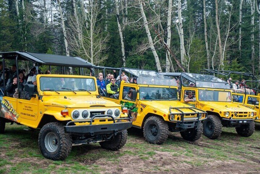 4WD Panoramic Peak Photo Tour in Estes Park