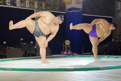 Osaka Sumo Show and Kimono Haori Experience including food