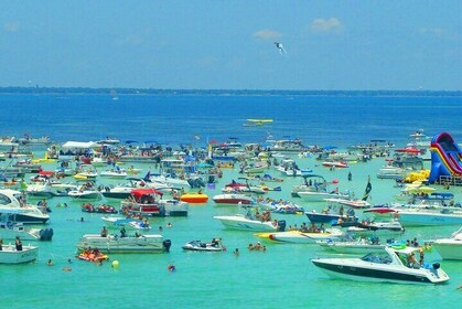 Crab Island Charter, Family Friendly 4 Hour