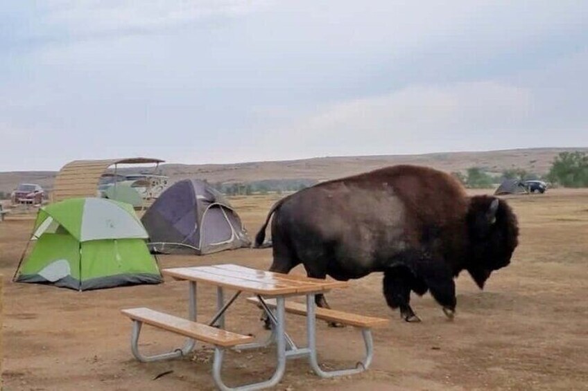 Badlands Private Tour