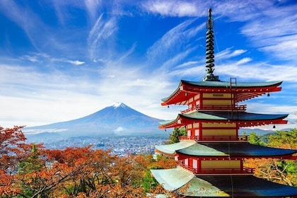 Excursión turística de día completo al Monte Fuji desde Tokio