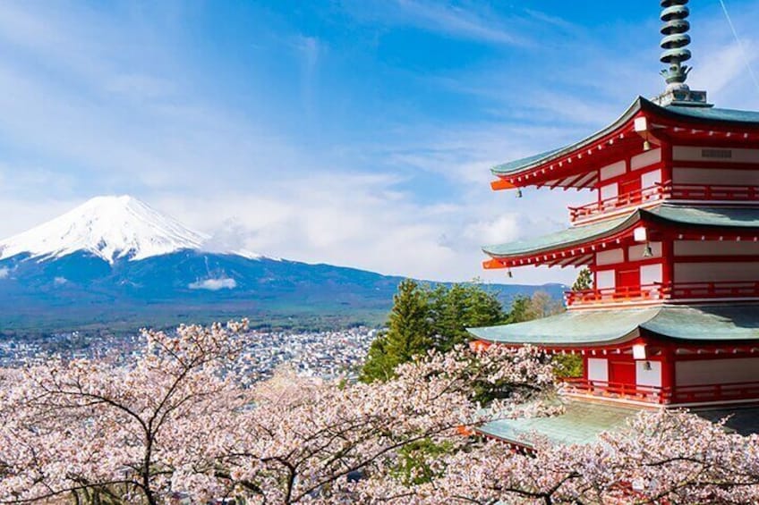 Mount Fuji Full Day Sightseeing Tour from Tokyo