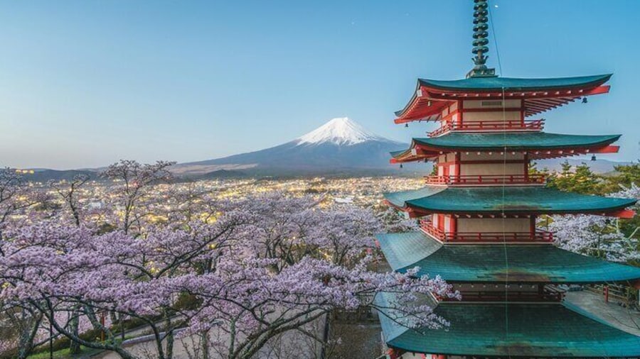 Mount Fuji Full Day Sightseeing Tour from Tokyo