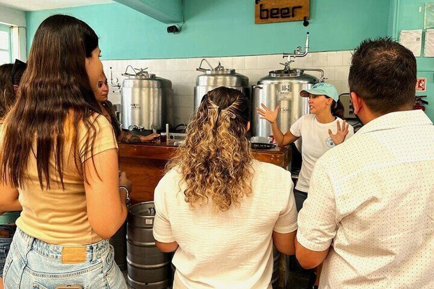 Cozumel Micro-Brewery Visit