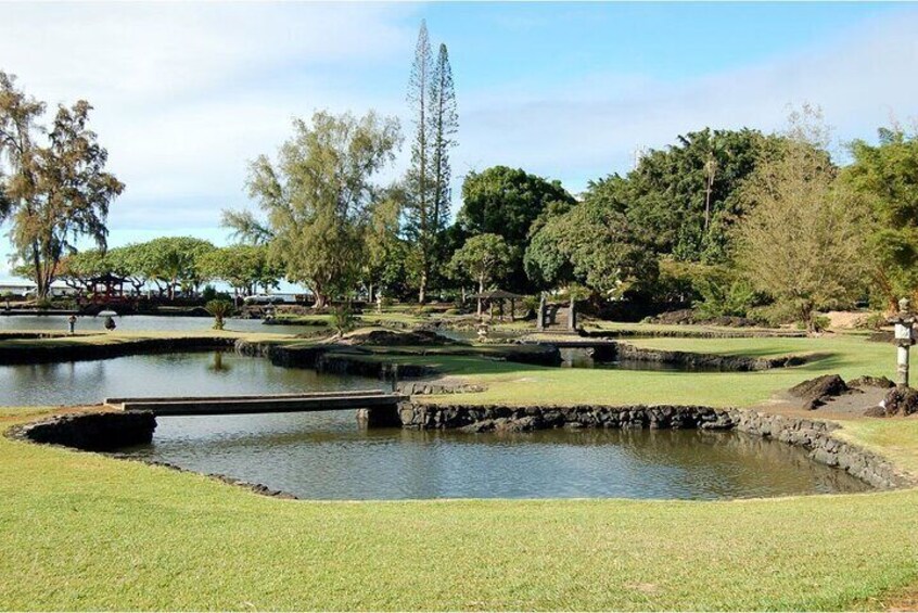 From Big island Hilo Volcanoes and Waterfalls Shared Tour