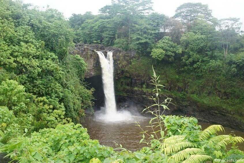 From Big island Hilo Volcanoes and Waterfalls Shared Tour