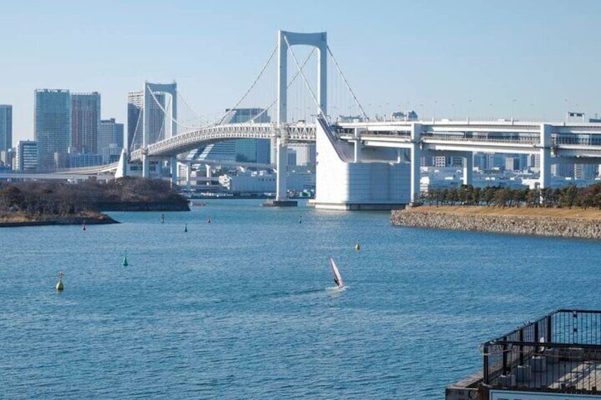 Tokyo Bay Yakatabune Dinner/Day Cruise with Japan Show & Drinks