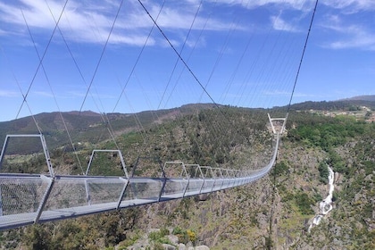 Paiva Walkways+516 Arouca Suspension Bridge+Aveiro - from Porto