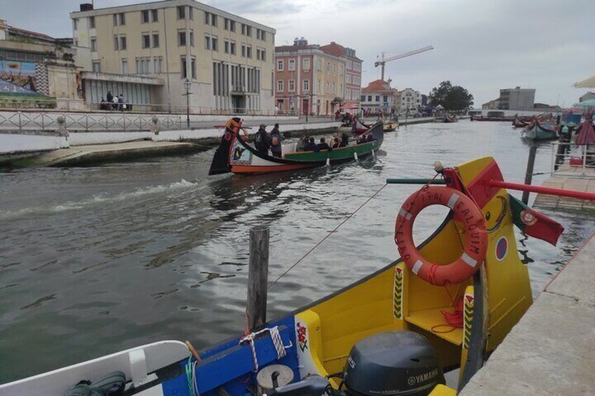 Paiva Walkways+516 Arouca Suspension Bridge+Aveiro - from Porto 