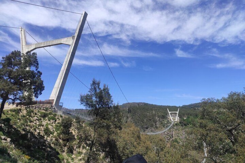 Paiva Walkways+516 Arouca Suspension Bridge+Aveiro - from Porto 