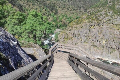 Porto to Paiva Walkways and 516 Arouca Suspension Bridge Tour