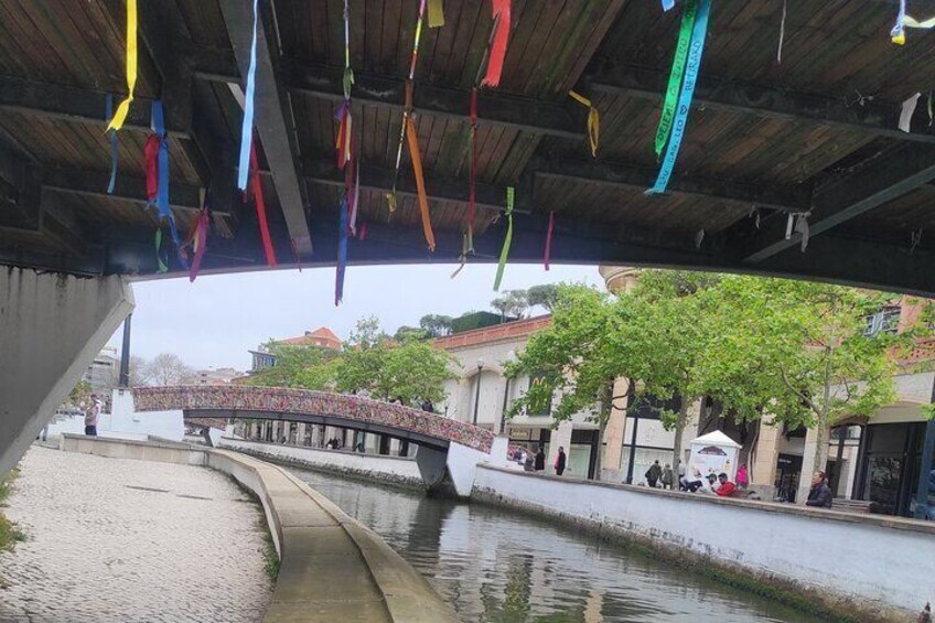 Paiva Walkways+516 Arouca Suspension Bridge+Aveiro - from Porto 