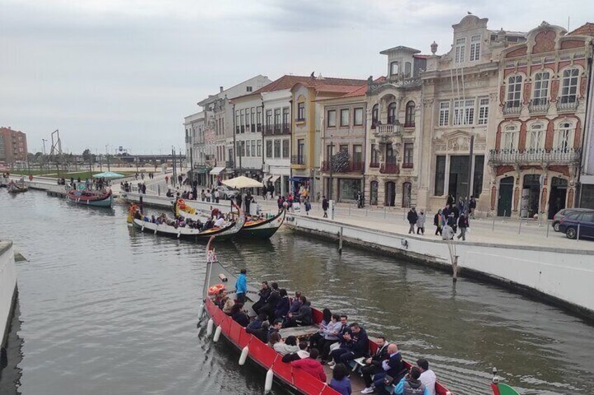 Paiva Walkways+516 Arouca Suspension Bridge+Aveiro - from Porto 