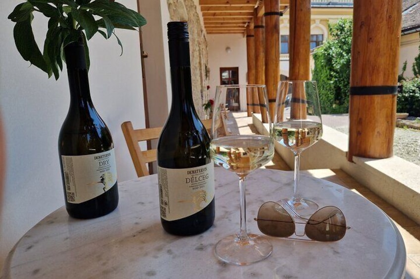 2 Days Tokaj Wine Tour in Mád Hungary with Meals