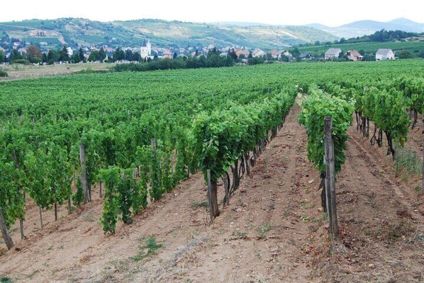 2 Days Tokaj Wine Tour in Mád Hungary with Meals